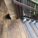 Deck Repair and Stain Project in Bend, OR